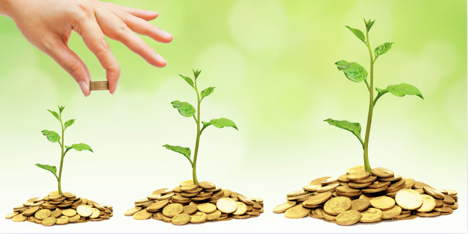 vignette step by step