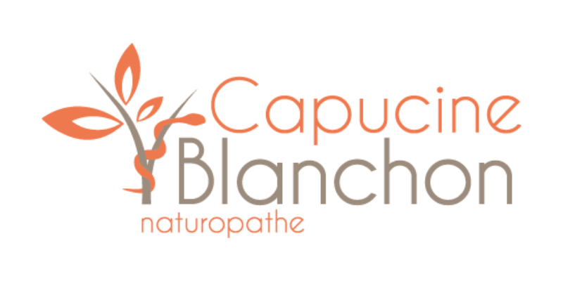 Logo Fresque du Climat